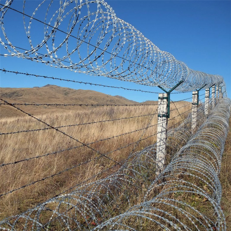 蛇形刀刺網圖片3 蛇形刀刺網圖片3