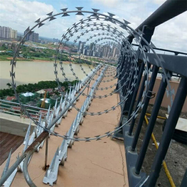 蛇形刀刺網圖片4 蛇形刀刺網圖片4