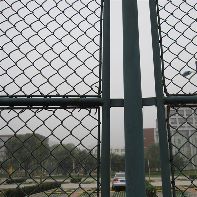 體育場防護網(wǎng)圖片3 體育場防護網(wǎng)圖片3