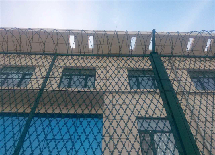 焊接菱形孔刀刺網圖片2 焊接菱形孔刀刺網圖片2