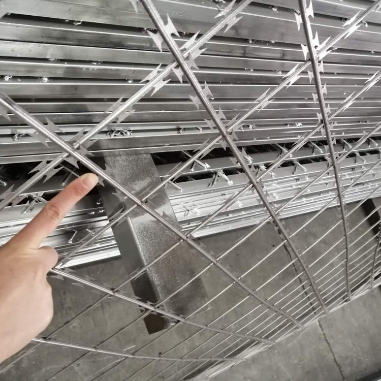 監獄金屬隔離網圖片2