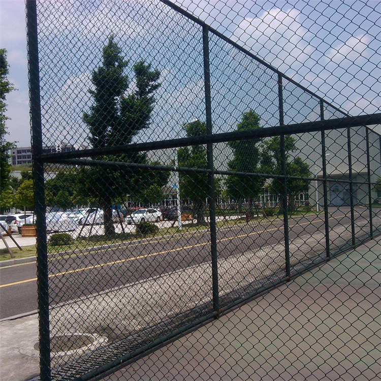 球場護(hù)欄網(wǎng)圖片3 球場護(hù)欄網(wǎng)圖片3