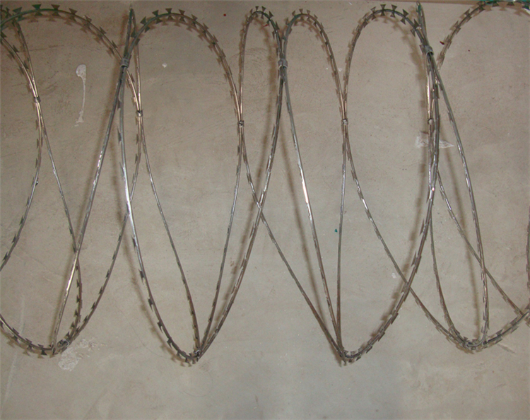 新疆刀片刺網?圖片3