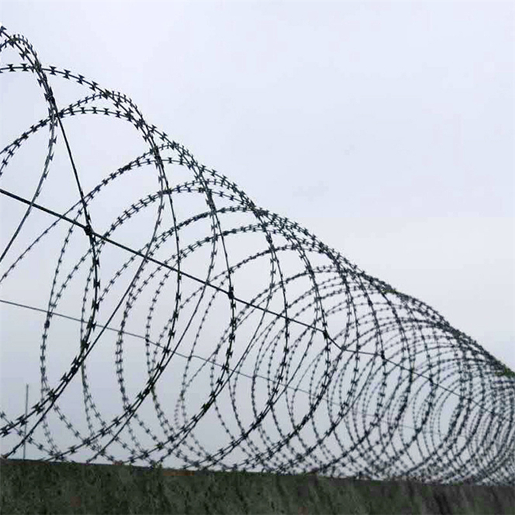 刀片刺網BTO-22圖片3 刀片刺網BTO-22圖片3