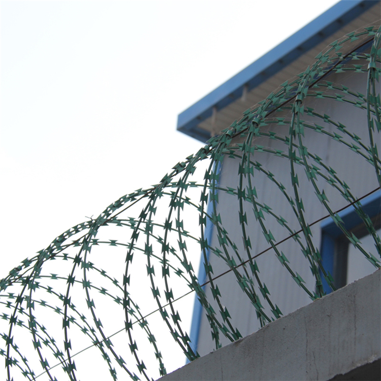 刺絲滾籠圖片3 刺絲滾籠圖片3