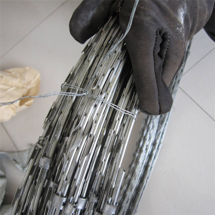 防爬刀刺網(wǎng)圖片4 防爬刀刺網(wǎng)圖片4