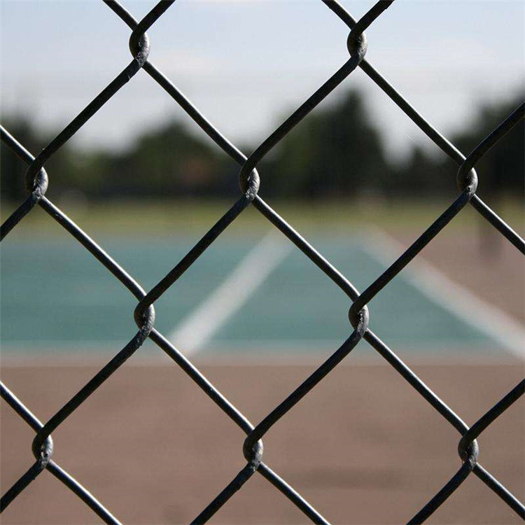 體育場勾花圍網(wǎng)圖片3