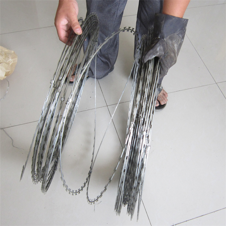 熱鍍鋅刺絲滾籠圍網特殊場所圖片5 熱鍍鋅刺絲滾籠圍網特殊場所圖片5