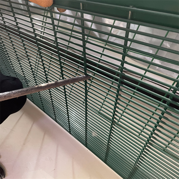 358密紋護欄網應用圖片4